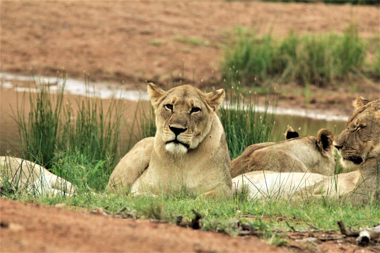 Abendruhe Lodge Pretoria-Noord Eksteriør billede