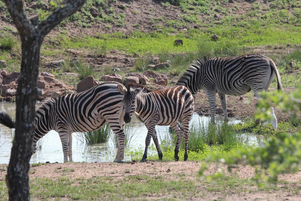 Abendruhe Lodge Pretoria-Noord Eksteriør billede